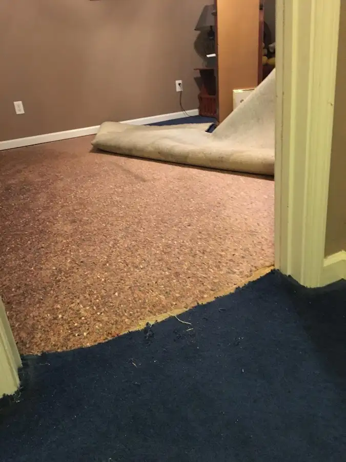 Carpet pad removal revealing water damage during Drying & Dehumidification in East Whiteland